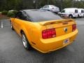 2007 Grabber Orange Ford Mustang GT Deluxe Coupe  photo #13
