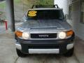 Titanium Metallic - FJ Cruiser 4WD Photo No. 6