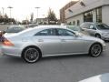 Iridium Silver Metallic - CLS 500 Photo No. 8