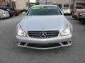 Iridium Silver Metallic - CLS 500 Photo No. 10