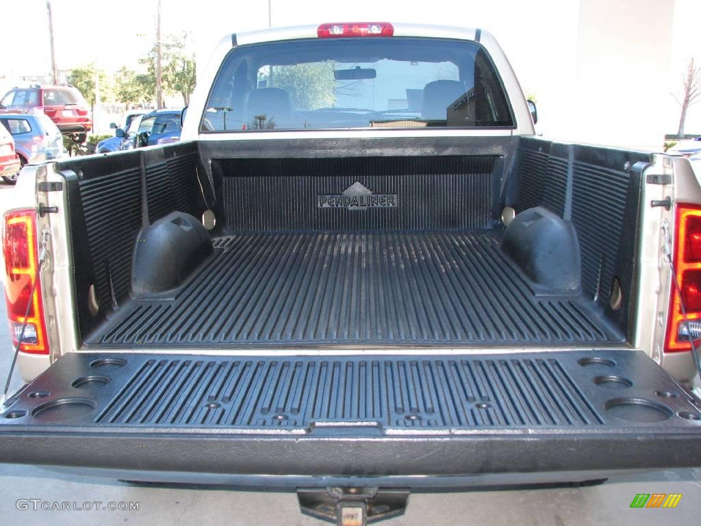 2003 Ram 1500 ST Regular Cab 4x4 - Light Almond Pearl / Taupe photo #14