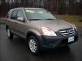 2005 Sahara Sand Metallic Honda CR-V EX 4WD  photo #1