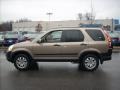 2005 Sahara Sand Metallic Honda CR-V EX 4WD  photo #6