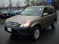 2005 Sahara Sand Metallic Honda CR-V EX 4WD  photo #7