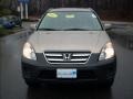 2005 Sahara Sand Metallic Honda CR-V EX 4WD  photo #8