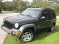 2004 Black Clearcoat Jeep Liberty Sport  photo #6