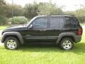 Black Clearcoat - Liberty Sport Photo No. 7