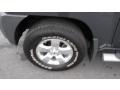 Night Armor Metallic - Xterra X 4x4 Photo No. 17