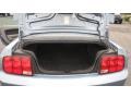 Windveil Blue Metallic - Mustang V6 Deluxe Coupe Photo No. 8
