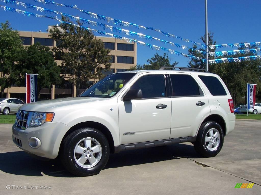 2008 Escape XLT V6 - Light Sage Metallic / Charcoal photo #1