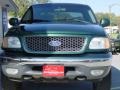 Amazon Green Metallic - F150 XLT Extended Cab 4x4 Photo No. 6