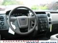 2010 Blue Flame Metallic Ford F150 XLT SuperCrew 4x4  photo #14