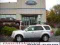 2010 Ingot Silver Metallic Ford Escape Limited V6 4WD  photo #1