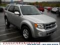 2010 Ingot Silver Metallic Ford Escape Limited V6 4WD  photo #4