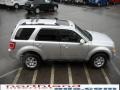 2010 Ingot Silver Metallic Ford Escape Limited V6 4WD  photo #5