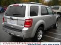 2010 Ingot Silver Metallic Ford Escape Limited V6 4WD  photo #6