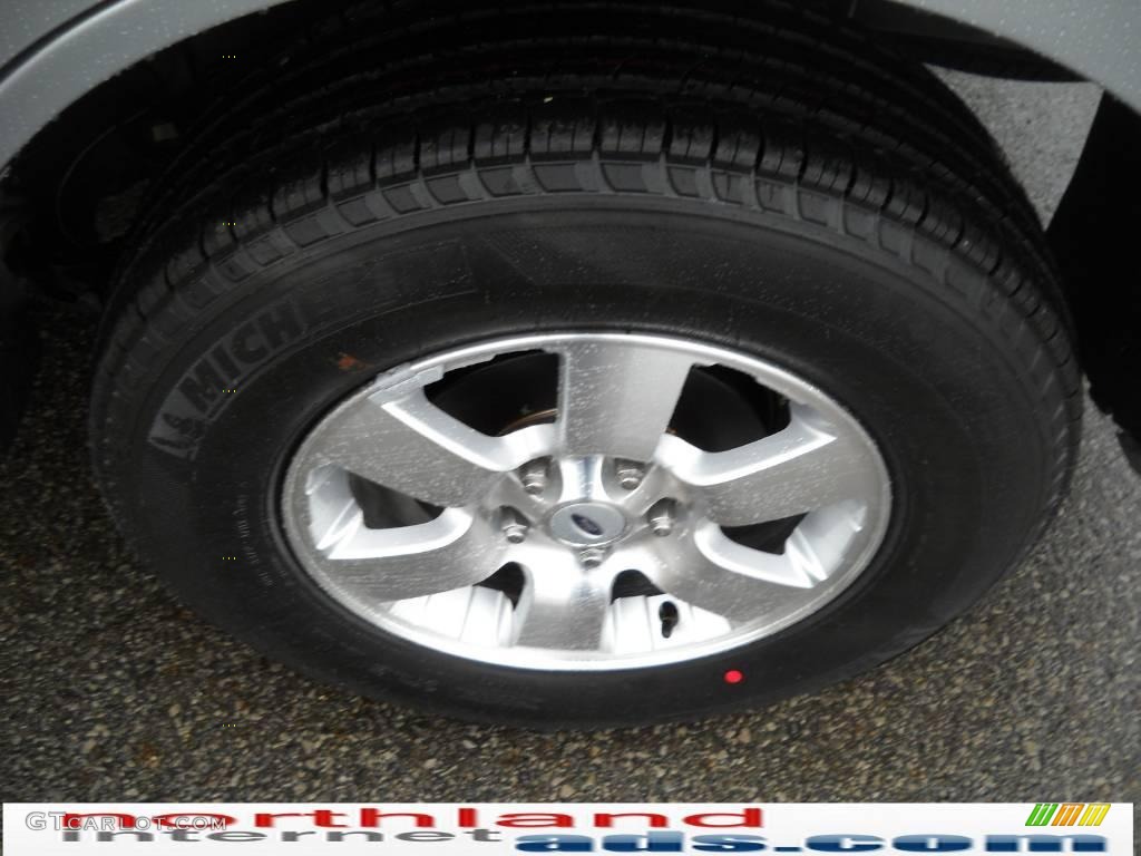 2010 Escape Limited V6 4WD - Ingot Silver Metallic / Charcoal Black photo #15