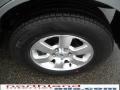 2010 Ingot Silver Metallic Ford Escape Limited V6 4WD  photo #15