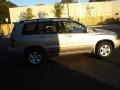 Sonora Gold Pearl - Highlander  Photo No. 6