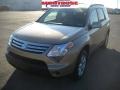 2007 Prairie Gold Metallic Suzuki XL7 Luxury AWD  photo #21