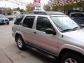 Chrome Silver Metallic - Pathfinder SE 4x4 Photo No. 43