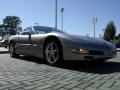 1999 Light Pewter Metallic Chevrolet Corvette Coupe  photo #6