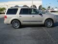 2008 Light French Silk Metallic Lincoln Navigator Luxury  photo #6