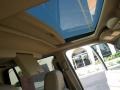 2008 Light French Silk Metallic Lincoln Navigator Luxury  photo #20