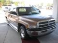 Light Driftwood Satin Glow - Ram 1500 SLT Extended Cab Photo No. 20
