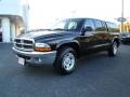 2003 Black Dodge Dakota SLT Quad Cab  photo #6