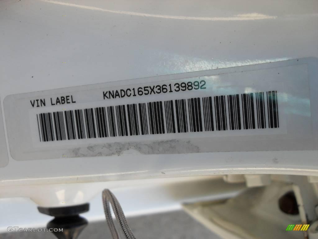 2003 Rio Cinco Hatchback - Polar White / Gray photo #17