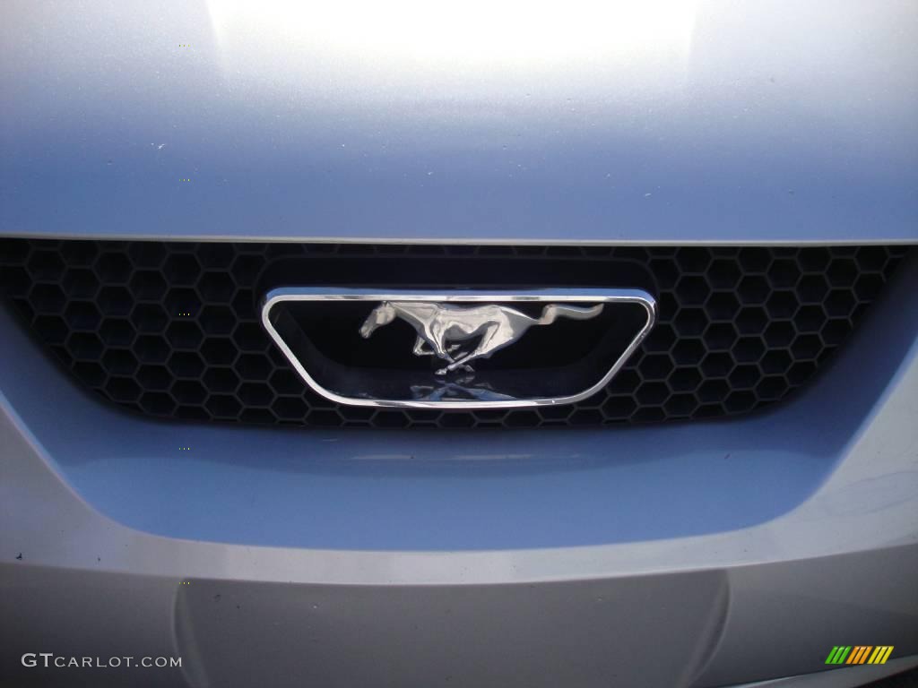 1999 Mustang V6 Convertible - Silver Metallic / Dark Charcoal photo #28