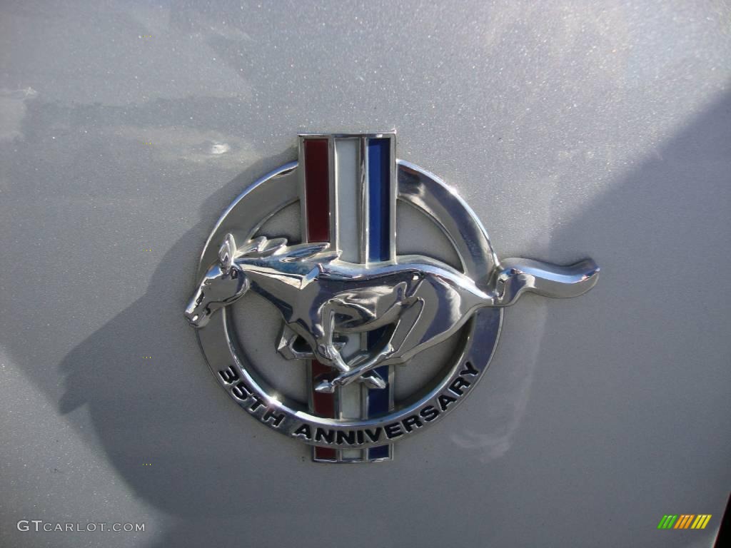 1999 Mustang V6 Convertible - Silver Metallic / Dark Charcoal photo #30