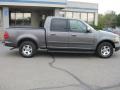 2002 Dark Shadow Grey Metallic Ford F150 XLT SuperCrew  photo #2