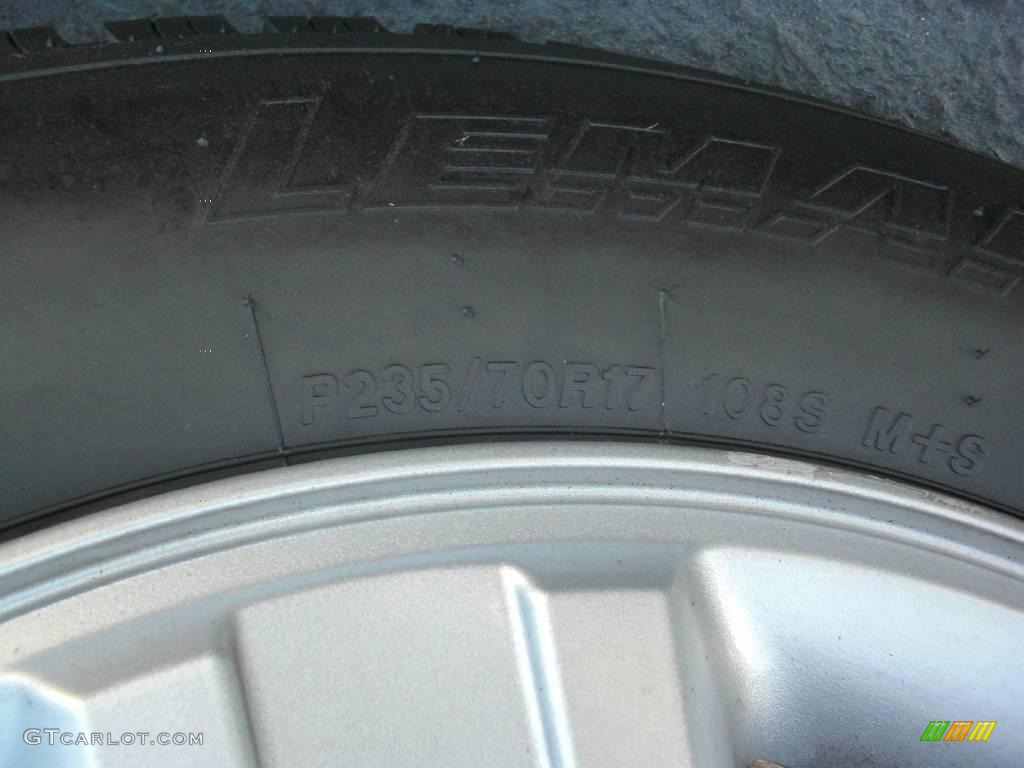 2004 F150 XLT SuperCab - Dark Shadow Grey Metallic / Medium/Dark Flint photo #10