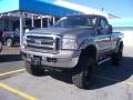 2005 Arizona Beige Metallic Ford F250 Super Duty XLT Regular Cab 4x4  photo #2