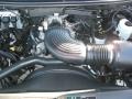 4.6 Liter SOHC 16V Triton V8 2004 Ford F150 XLT SuperCab Engine