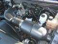 4.6 Liter SOHC 16V Triton V8 2004 Ford F150 XLT SuperCab Engine