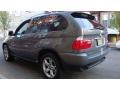 Sterling Grey Metallic - X5 3.0i Photo No. 13