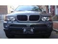 2006 Sterling Grey Metallic BMW X5 3.0i  photo #16