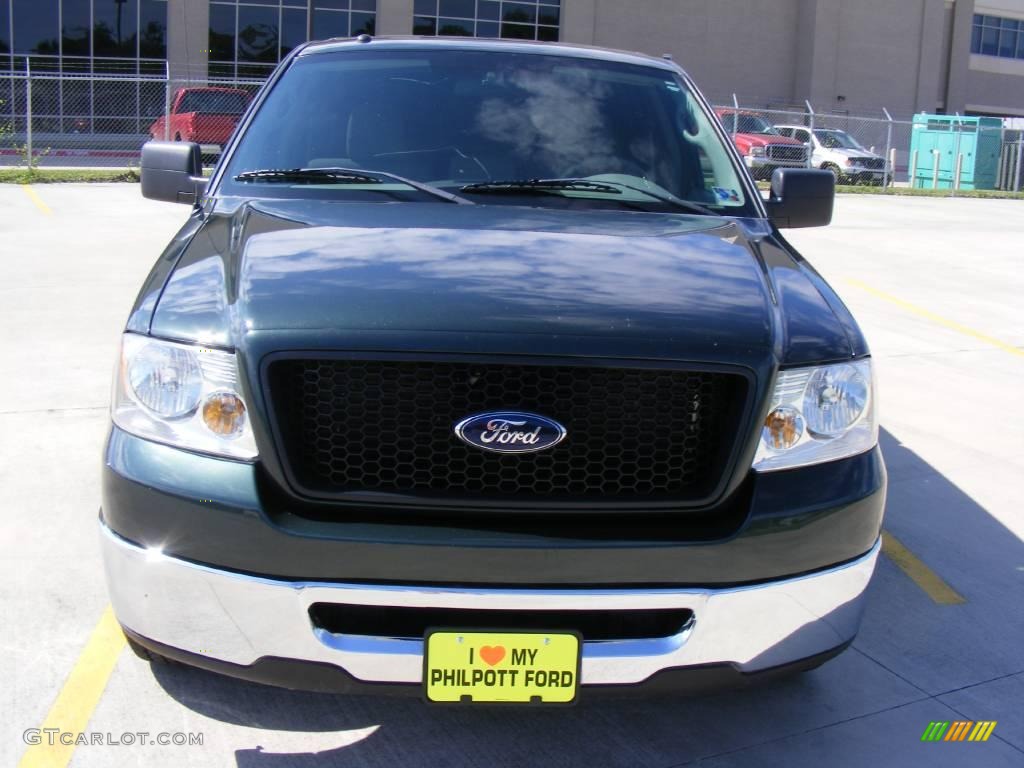 2006 F150 XLT SuperCrew - Aspen Green Metallic / Tan photo #8