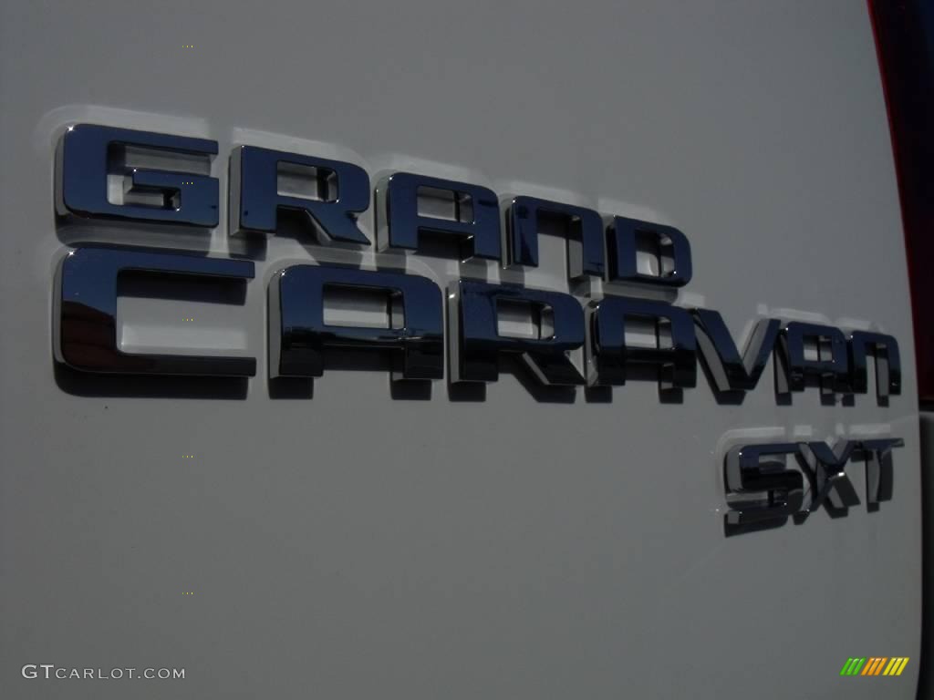 2010 Grand Caravan SXT - Stone White / Dark Slate Gray/Light Shale photo #9