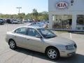 Champagne Metallic - Elantra GLS Sedan Photo No. 1
