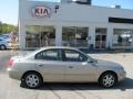 Champagne Metallic - Elantra GLS Sedan Photo No. 2