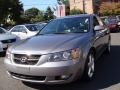 Steel Gray - Sonata LX V6 Photo No. 3