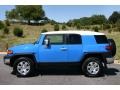 2007 Voodoo Blue Toyota FJ Cruiser 4WD  photo #4