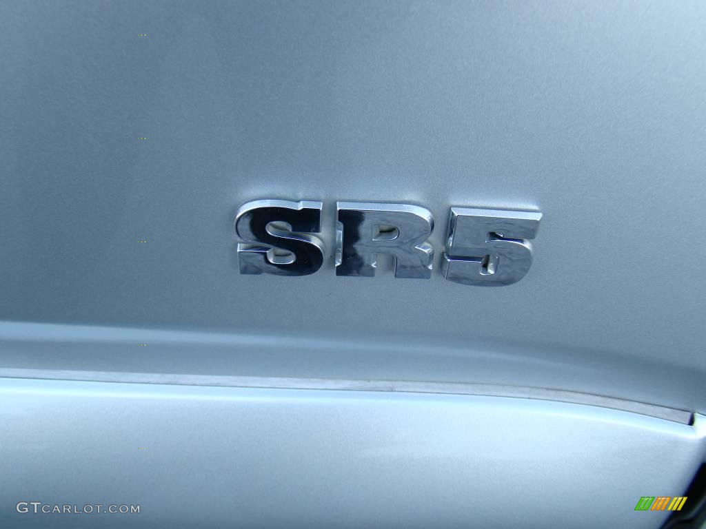 2008 4Runner SR5 - Titanium Metallic / Stone Gray photo #14