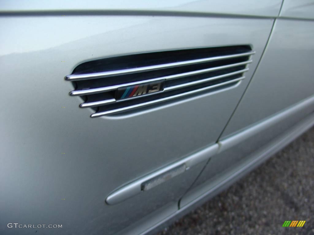 2003 M3 Coupe - Titanium Silver Metallic / Grey photo #16