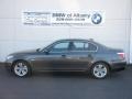 2010 Platinum Grey Metallic BMW 5 Series 528i Sedan  photo #1