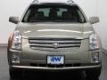 Cashmere Metallic - SRX V6 Photo No. 8